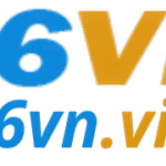 66vnvin
