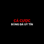 cacuocbongda5