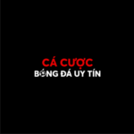 Cá Cược Bóng Đá
