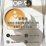 충주오피 출장마사지안내.COM 충주OP
