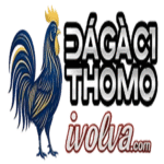 dagac1ivolva