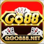 QGO8 net