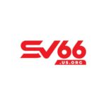 SV66