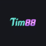 tim88biz