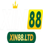 xin88