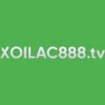 Xoilac TV | Trực tiếp bóng đá 90phut - Xem Xôi Lạc trực tuyến HD