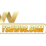 yshw88com