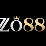 Zo88network1
