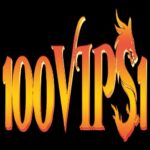 100vip