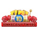 10nhacaiuytinpro