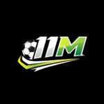 11M