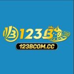 Nhà cái 123B