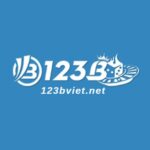 123bvietnet
