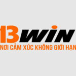 13windomains