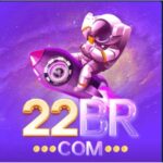 22brapporg