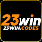 23WIN
