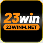 23winmnet1