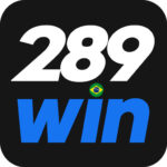 289wins1