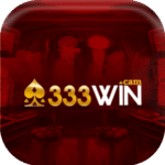 333wincam