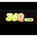 36q