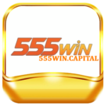 555wincapital