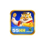 55HHnetbr
