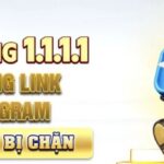 5mbgroup