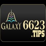 6623tips