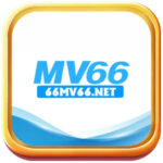 66mv66net