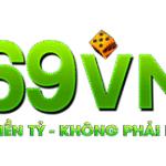 69vncyou