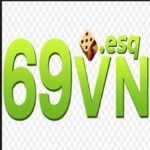 69vnesq