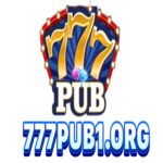Bookmaker 777Pub