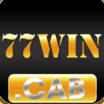 77win