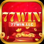 77Winllc
