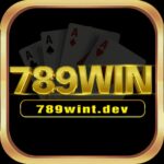 789WIN