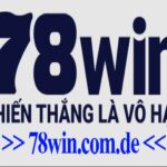78wincomde