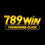 78winsurff