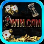 79wincam