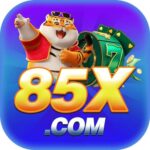 85x85xorg