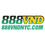 888vndnyc