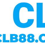 88clb88city