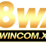 98wincomxyz