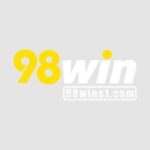 98wins1cam