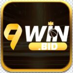 9winbid