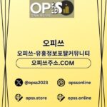 압구정오피 오피사이트.NET 압구정OP