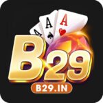 b29in