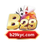 B29kyccom