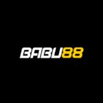 babu88photographerpronet