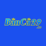 banca29co