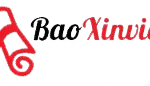 baoxinviec